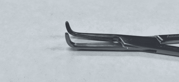 The tips of a Heiss Arthery Forcep